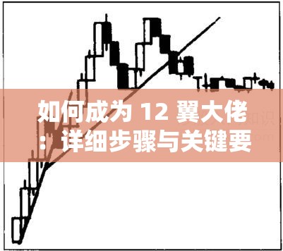 如何成为 12 翼大佬：详细步骤与关键要点全解析
