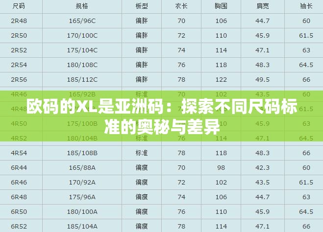 欧码的XL是亚洲码：探索不同尺码标准的奥秘与差异