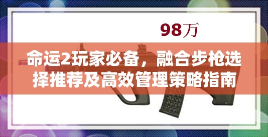 命运2玩家必备，融合步枪选择推荐及高效管理策略指南