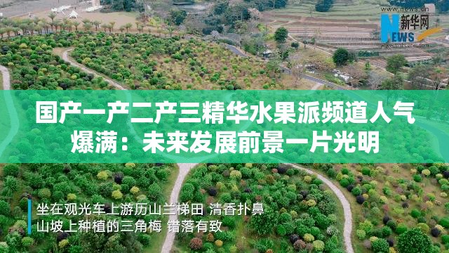 国产一产二产三精华水果派频道人气爆满：未来发展前景一片光明