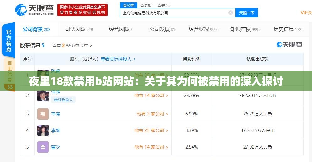 夜里18款禁用b站网站：关于其为何被禁用的深入探讨