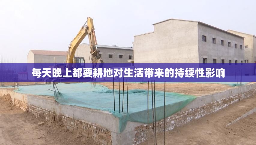 每天晚上都要耕地对生活带来的持续性影响