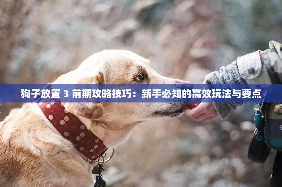 狗子放置 3 前期攻略技巧：新手必知的高效玩法与要点