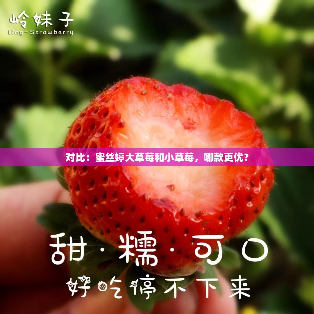 对比：蜜丝婷大草莓和小草莓，哪款更优？