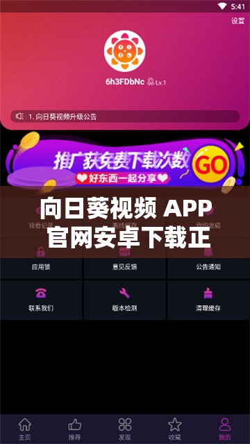 向日葵视频 APP 官网安卓下载正招募优质主播：开启直播梦想之旅