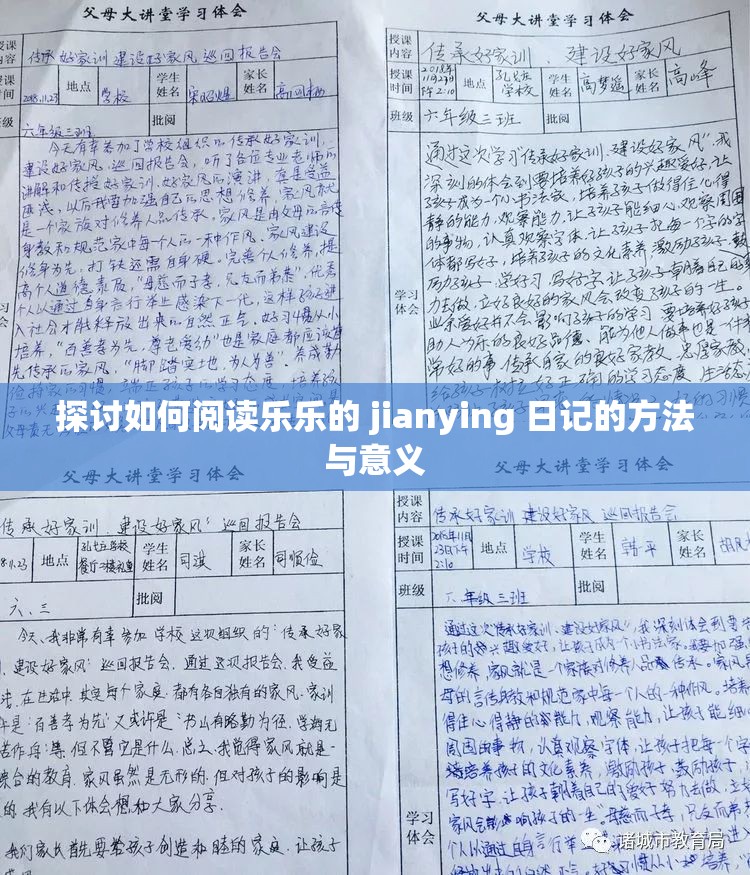 探讨如何阅读乐乐的 jianying 日记的方法与意义