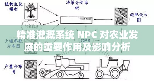 精准灌溉系统 NPC 对农业发展的重要作用及影响分析