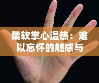 柔软掌心温热：难以忘怀的触感与温度