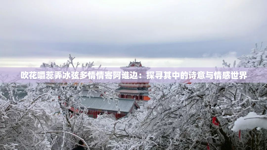 吹花嚼蕊弄冰弦多情情寄阿谁边：探寻其中的诗意与情感世界