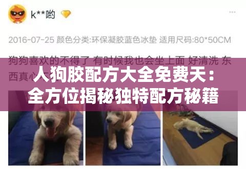 人狗胶配方大全免费天：全方位揭秘独特配方秘籍