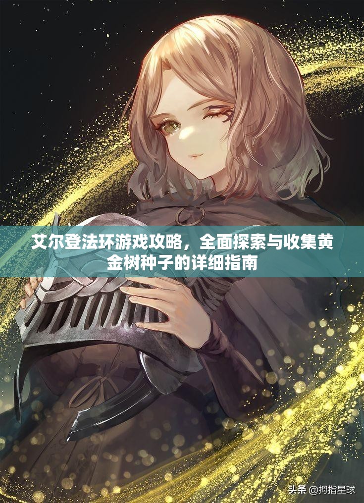 艾尔登法环游戏攻略，全面探索与收集黄金树种子的详细指南