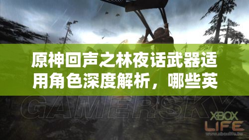 原神回声之林夜话武器适用角色深度解析，哪些英雄能最大化其效用？