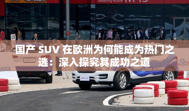 国产 SUV 在欧洲为何能成为热门之选：深入探究其成功之道