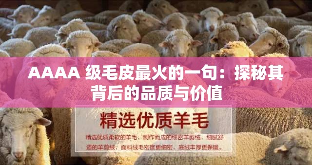 AAAA 级毛皮最火的一句：探秘其背后的品质与价值