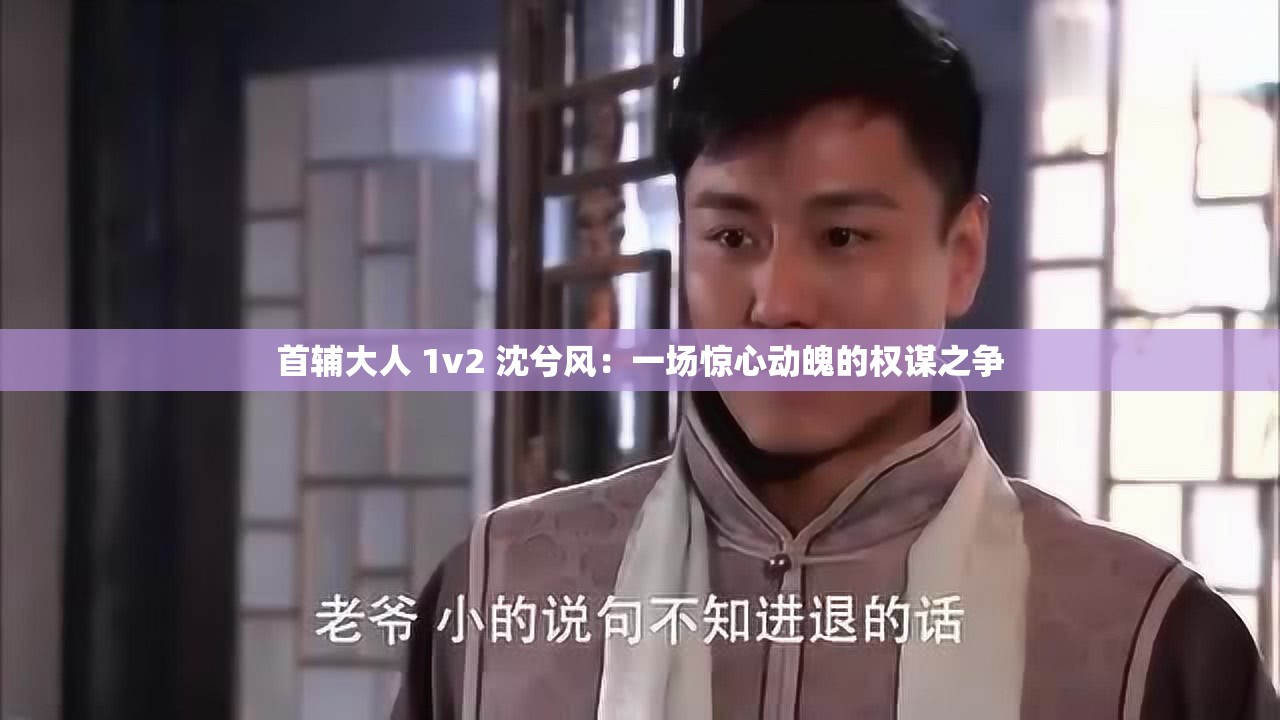 首辅大人 1v2 沈兮风：一场惊心动魄的权谋之争