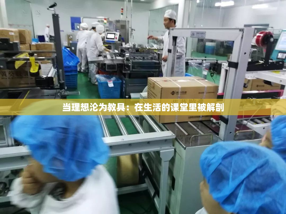 当理想沦为教具：在生活的课堂里被解剖