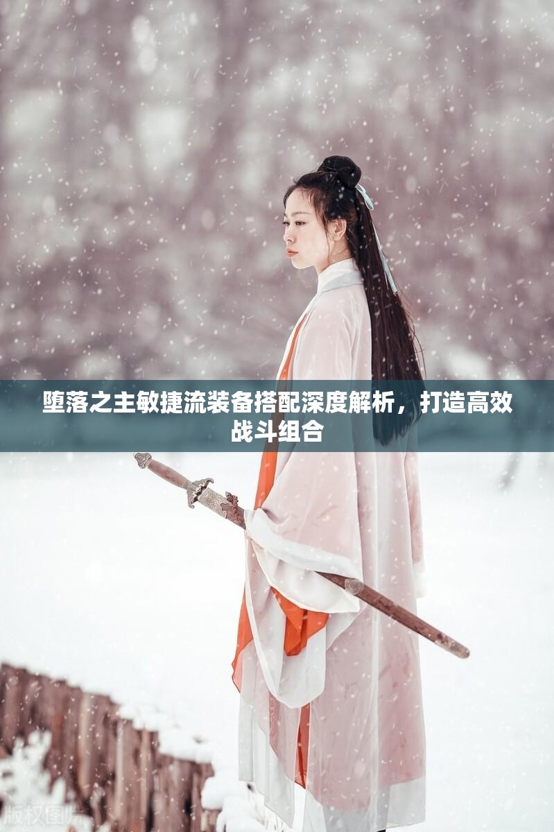 堕落之主敏捷流装备搭配深度解析，打造高效战斗组合