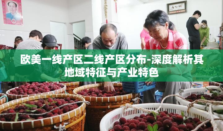 欧美一线产区二线产区分布-深度解析其地域特征与产业特色