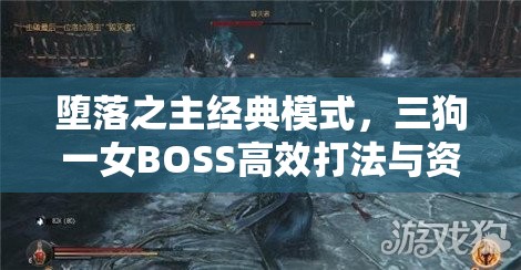 堕落之主经典模式，三狗一女BOSS高效打法与资源管理策略详解