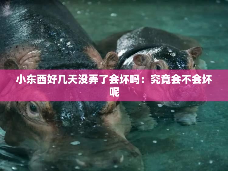 小东西好几天没弄了会坏吗：究竟会不会坏呢
