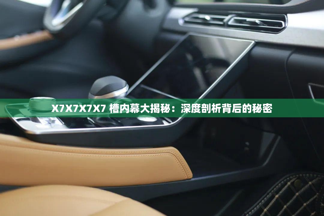 X7X7X7X7 槽内幕大揭秘：深度剖析背后的秘密