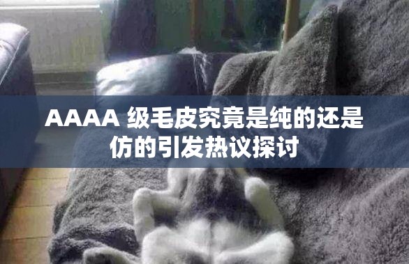 AAAA 级毛皮究竟是纯的还是仿的引发热议探讨