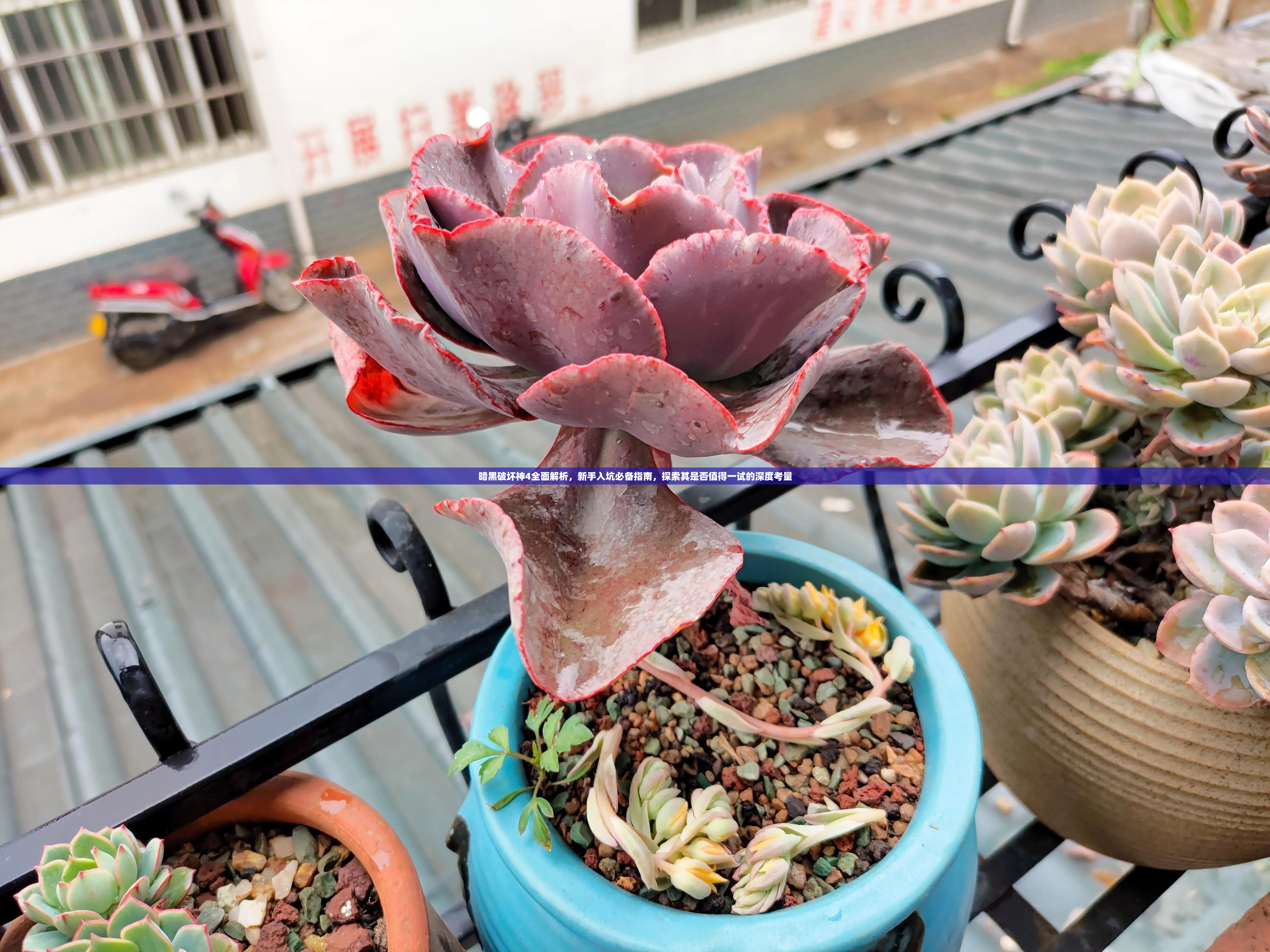 暗黑破坏神4全面解析，新手入坑必备指南，探索其是否值得一试的深度考量