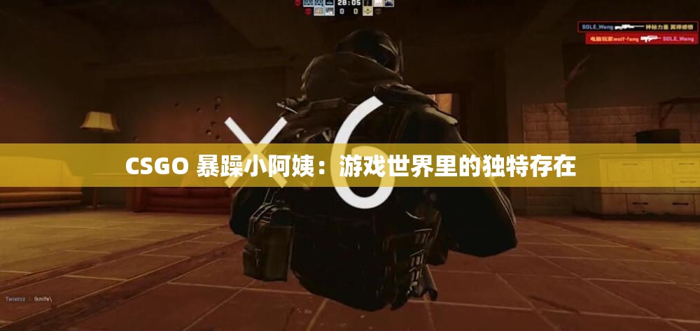 CSGO 暴躁小阿姨：游戏世界里的独特存在