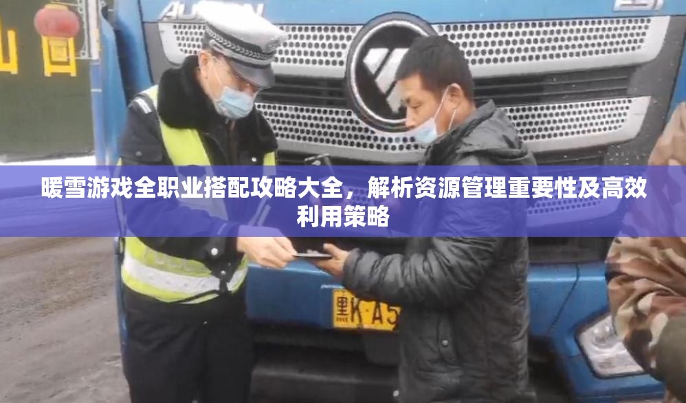 暖雪游戏全职业搭配攻略大全，解析资源管理重要性及高效利用策略