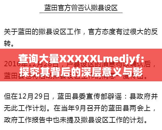 查询大量XXXXXLmedjyf：探究其背后的深层意义与影响