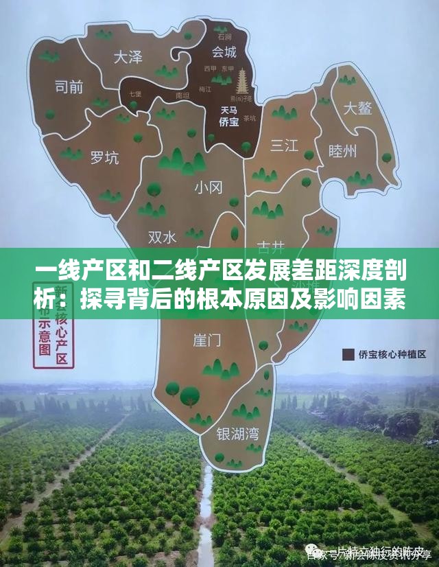 一线产区和二线产区发展差距深度剖析：探寻背后的根本原因及影响因素
