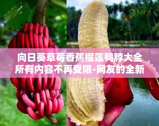 向日葵草莓香蕉榴莲鸭脖大全所有内容不再受限-网友的全新探索之旅