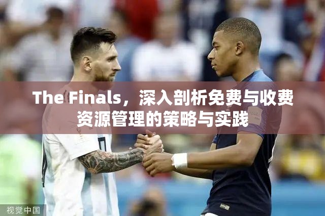 The Finals，深入剖析免费与收费资源管理的策略与实践