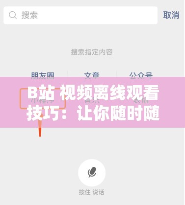 B站 视频离线观看技巧：让你随时随地畅享精彩内容