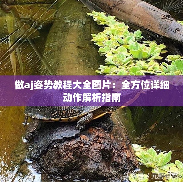 做aj姿势教程大全图片：全方位详细动作解析指南