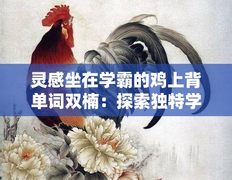 灵感坐在学霸的鸡上背单词双楠：探索独特学习方式的奇妙之旅