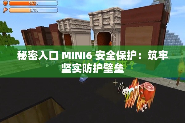 秘密入口 MINI6 安全保护：筑牢坚实防护壁垒