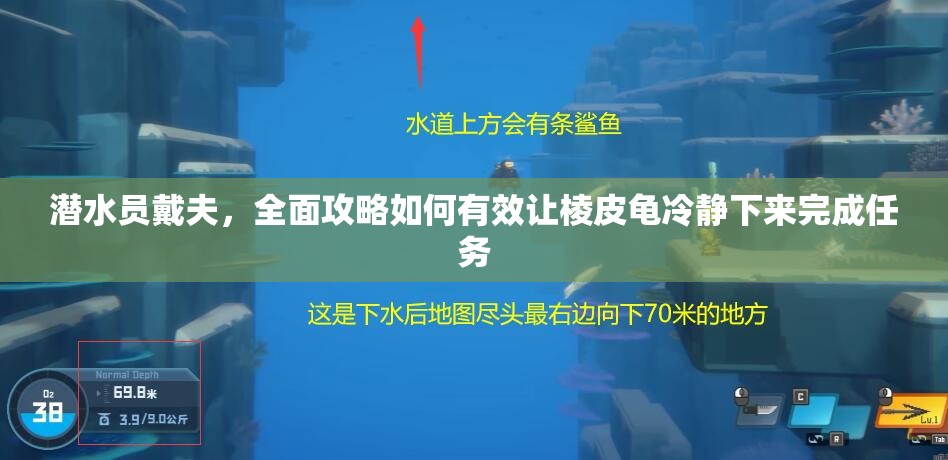 潜水员戴夫，全面攻略如何有效让棱皮龟冷静下来完成任务