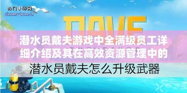 潜水员戴夫游戏中全满级员工详细介绍及其在高效资源管理中的核心作用