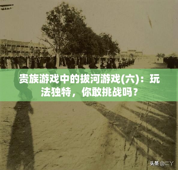 贵族游戏中的拔河游戏(六)：玩法独特，你敢挑战吗？
