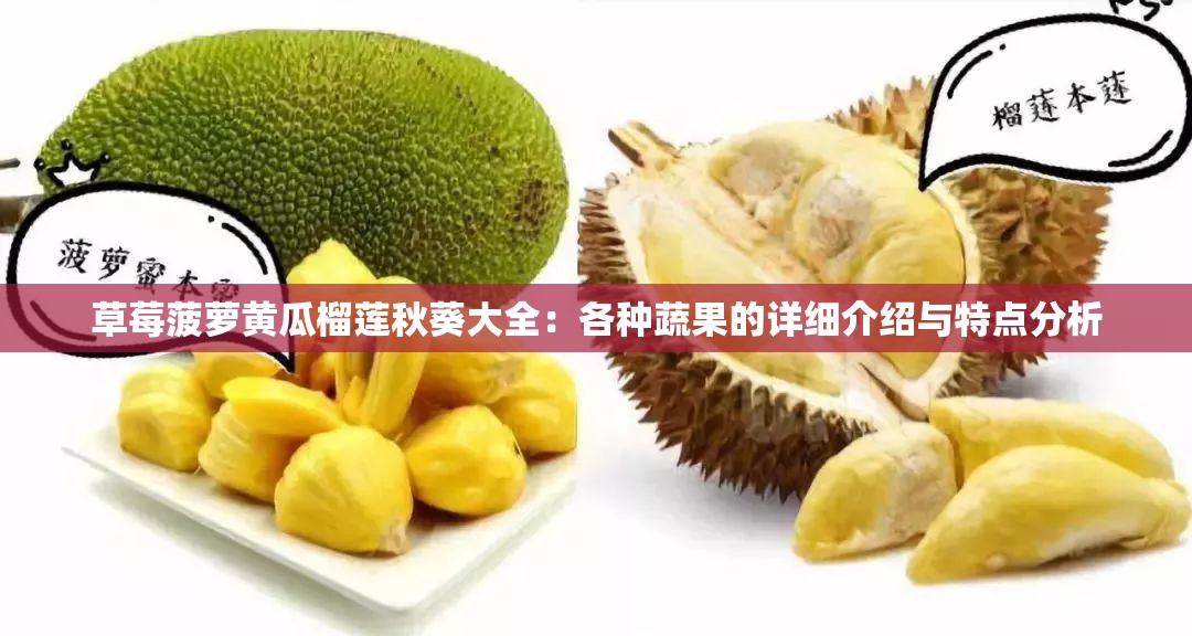 草莓菠萝黄瓜榴莲秋葵大全：各种蔬果的详细介绍与特点分析