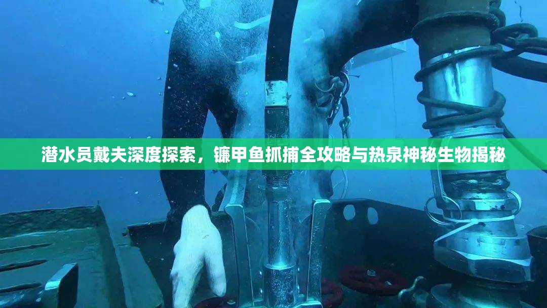 潜水员戴夫深度探索，镰甲鱼抓捕全攻略与热泉神秘生物揭秘