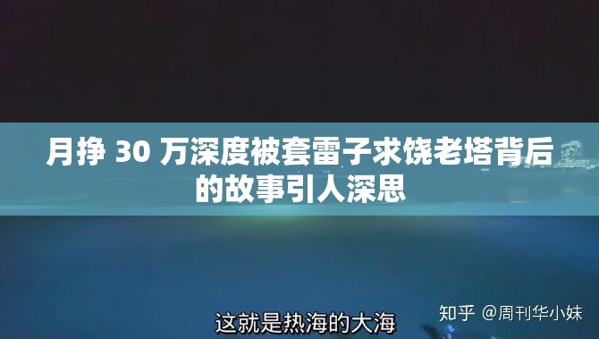 月挣 30 万深度被套雷子求饶老塔背后的故事引人深思