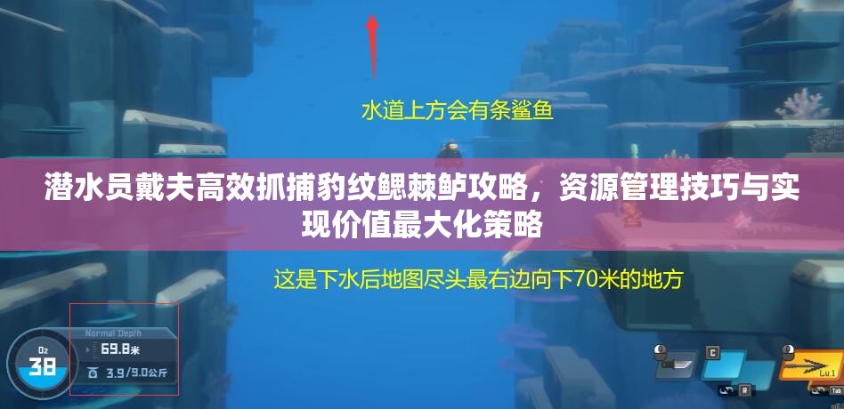 潜水员戴夫高效抓捕豹纹鳃棘鲈攻略，资源管理技巧与实现价值最大化策略