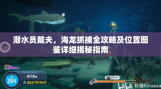 潜水员戴夫，海龙抓捕全攻略及位置图鉴详细揭秘指南