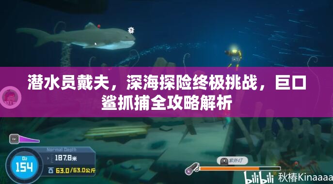 潜水员戴夫，深海探险终极挑战，巨口鲨抓捕全攻略解析