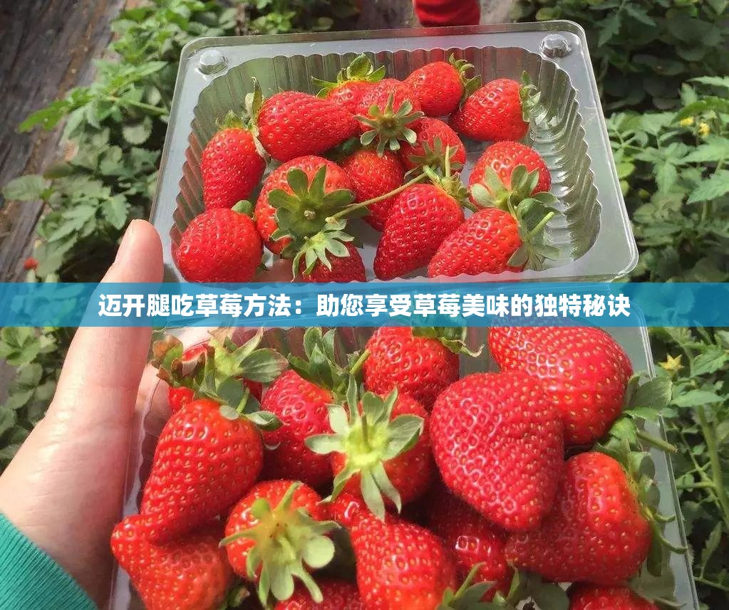 迈开腿吃草莓方法：助您享受草莓美味的独特秘诀