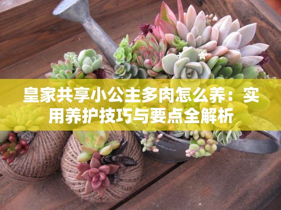皇家共享小公主多肉怎么养：实用养护技巧与要点全解析
