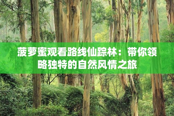 菠萝蜜观看路线仙踪林：带你领略独特的自然风情之旅