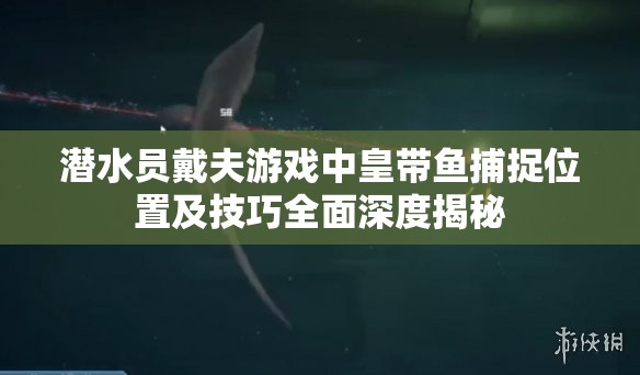 潜水员戴夫游戏中皇带鱼捕捉位置及技巧全面深度揭秘